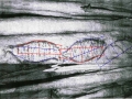 snefru-art6-47